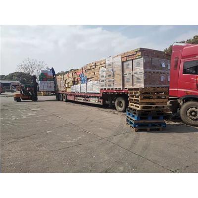 合肥至湛江专业货运代理服务 卓泰物流公司的优势与解决方案