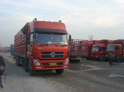 货运代理双翼 零担与整车运输业务的深度解析